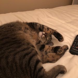 Meet your Posher, Erin